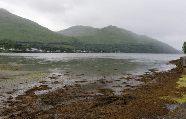 0620-004-Loch Fyne