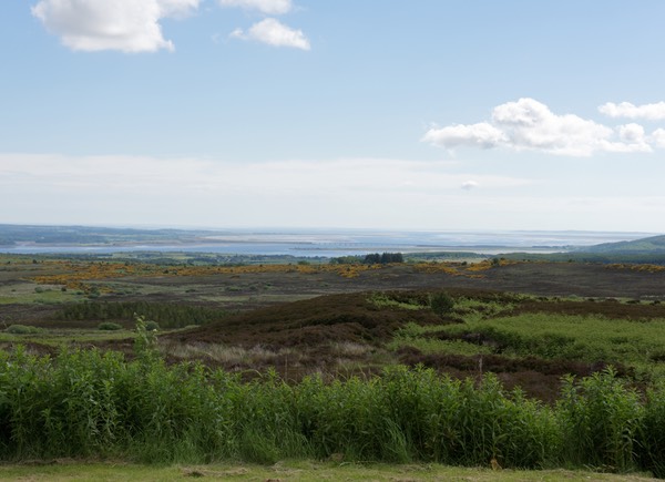 0623-010-Cromarty Firth