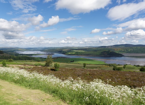 0623-023-Dornoch Firth