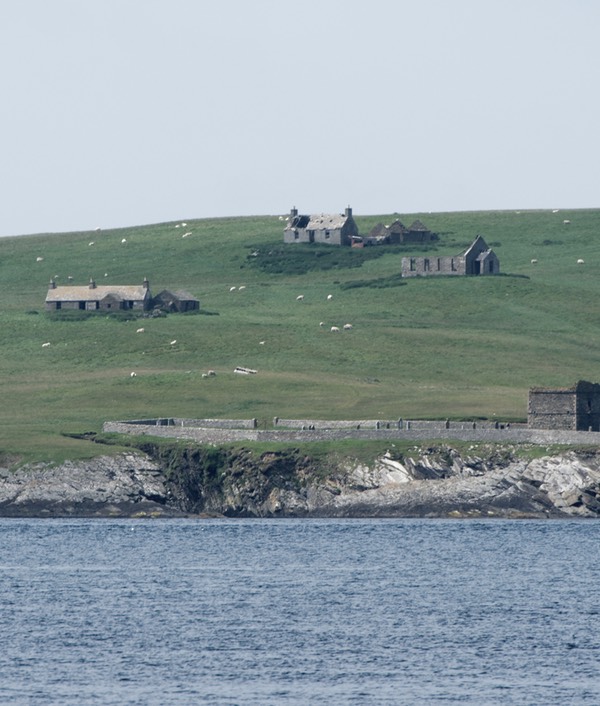 0624-071-Stroma