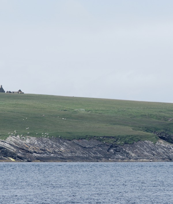 0624-075-Stroma