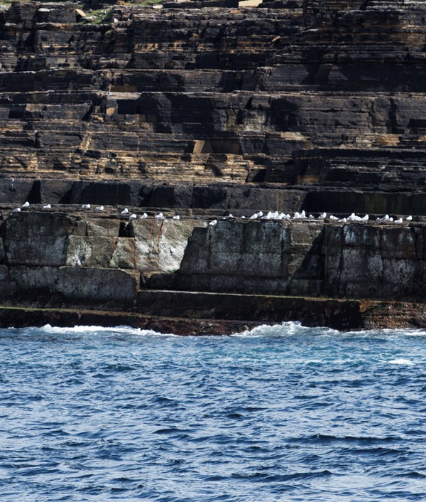 0624-112-sur les falaises