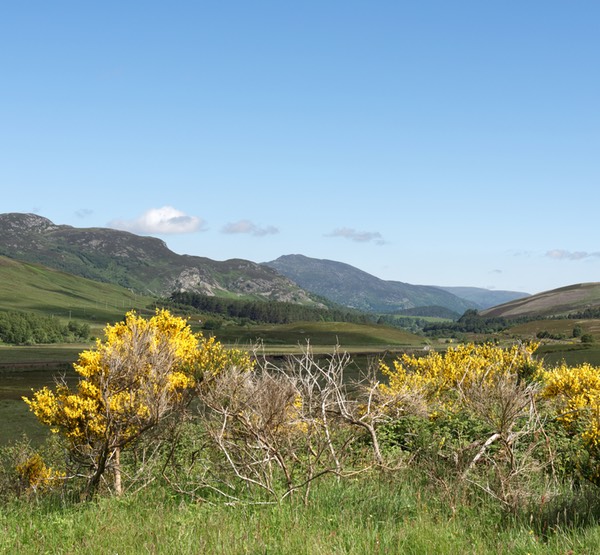 0626-031-Spey valley